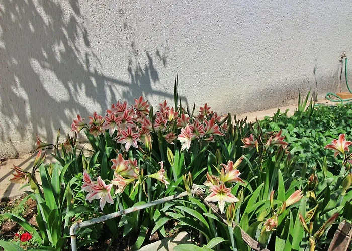 Dragica By Interhome Šilo