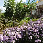 Apartmán Dragica By Interhome *
