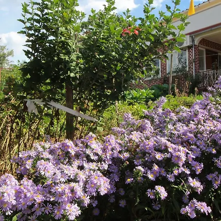 Apartman Dragica By Interhome *